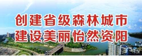 国产日逼大奔潮创建省级森林城市 建设美丽怡然资阳